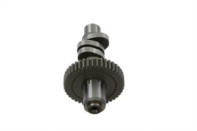Andrews M Grind Cam High Performance(EA)