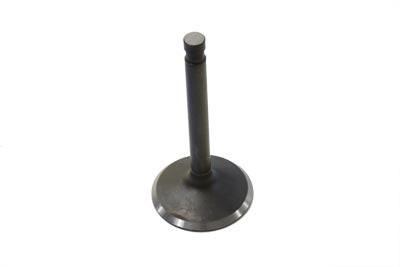 Nitrate Steel Intake Valve(EA)