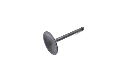 1000cc Nitrate Steel Intake Valve(EA)