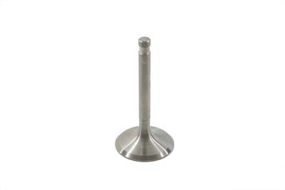 Stainless Steel Intake Valve(EA)