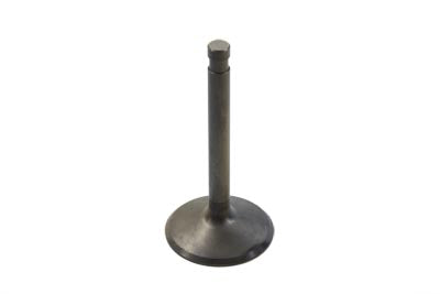 Stainless Steel Nitrate Intake Valve(EA)