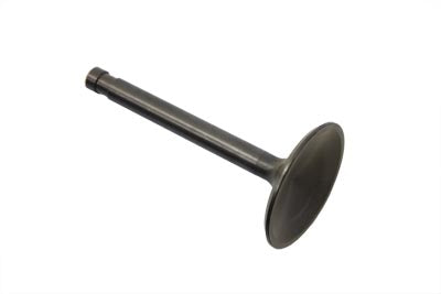 Stainless Steel Nitrate Intake Valve(EA)