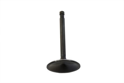 1000cc Stainless Black Diamond Intake Valve(EA)