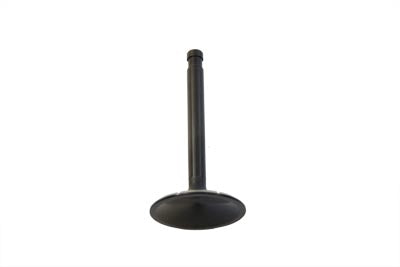 2.00 Black Diamond Nitrate Intake Valve(EA)