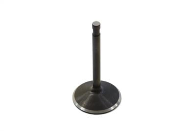 1000cc Stainless Black Diamond Intake Valve(EA)