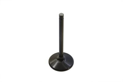 1000cc Stainless Black Diamond Intake Valve(EA)