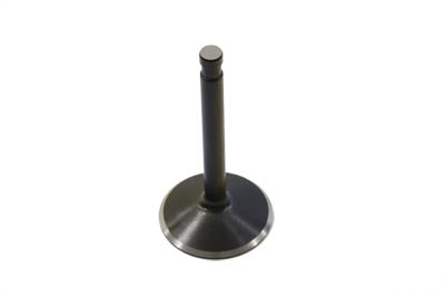 2.00 Black Diamond Nitrate Intake Valve(EA)
