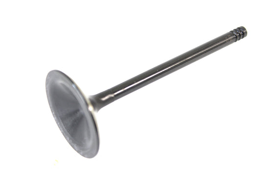 1200cc Black Diamond Stem Intake Valve(EA)