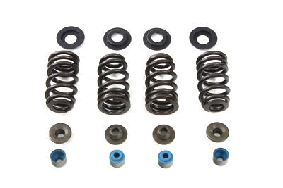 Valve Spring Kit(KIT)