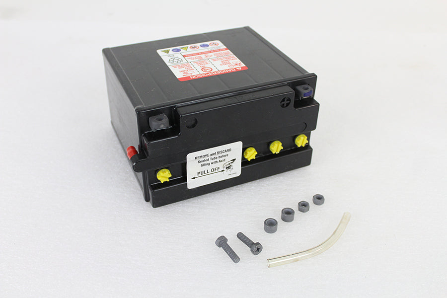 12 Volt 19 Amp CX Battery(EA)